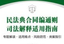 民法典合同编通则司法解释适用指南：专题解读