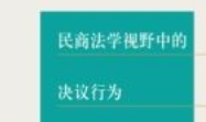 民商法学视野中的决议行为 202301 王雷 pdf电子版