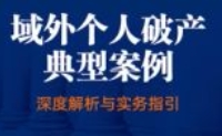 域外个人破产典型案例深度解析与实务指引 202