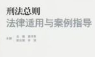 刑事法律适用与案例指导丛书 202311 胡云腾 pdf电