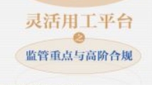 灵活用工平台之监管重点与高阶合规 202404 高亚平