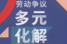 劳动争议多元化解工作指南 202110 pdf电子版下载