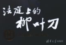 法庭上的柳叶刀 超清 2024 pdf电子版下载