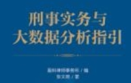 刑事实务与大数据分析指引 2024 张文明 pdf电子版