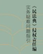 《民法典》侵权责任编实务疑难问题指引 杨立新