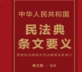中华人民共和国民法典条文要义（2024年版）杨立