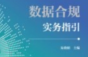 数据合规实务指引 朱晓娟 2024 pdf电子版下载