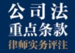 公司法重点条款律师实务评注 2024 pdf电子版下载