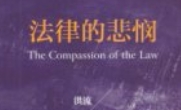 法律的悲悯 洪流  2024 pdf电子版下载