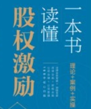 一本书读懂股权激励 于强伟 2024 pdf电子版下载