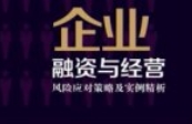 企业融资与经营风险应对策略及实例精析企业家