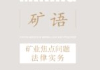 矿语：矿业焦点问题法律实务 202008 王振华 pdf电