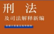刑法及司法解释新编（条文序号整理版）202210 中