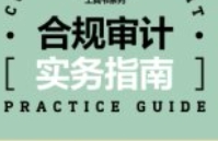 合规审计实务指南 pdf电子版下载