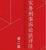 实务刑事诉讼法评注 第二版 2025 pdf电子版下载