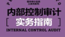 内部控制审计实务指南  高雅青李三喜施莹华 p