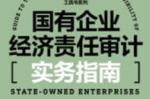 国有企业经济责任审计实务指南   赵志新 pdf电子