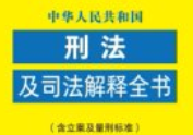 中华人民共和国刑法及司法解释全书（含立案及