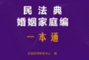 民法典婚姻家庭编一本通（第10版）202501 pdf电子