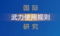 国际武力使用规则研究 宋新平 202502 pdf电子版下