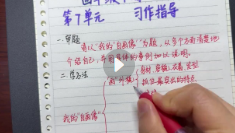 刘安妮小学语文课程合集【网盘资源】