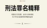 胡云腾 刑法罪名精释（第五版）修订版 上ocr重制